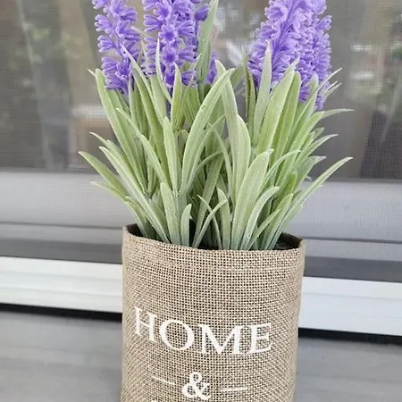 アパート ολοκαίνουρια Iosif's