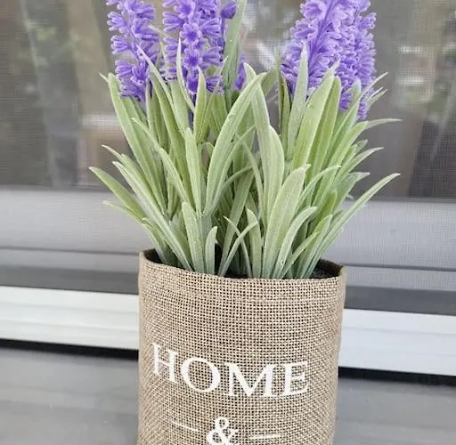 Apartament ολοκαίνουρια Iosif's